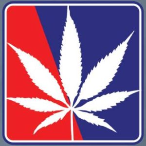 cannabis marketing agency
